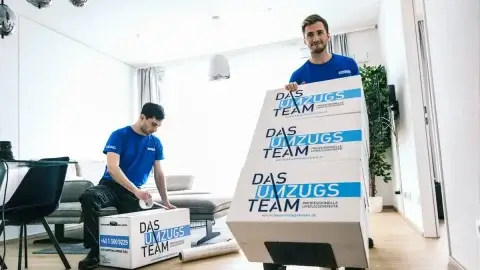 Möbelpacker Wien: 2 Umzugshelfer in blauen TShirts verpacken Gegenstände in Umzugskartons